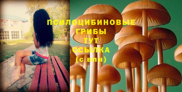 сатива Костерёво