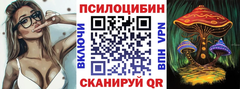 дарнет шоп  Кяхта  Псилоцибиновые грибы Psilocybe 